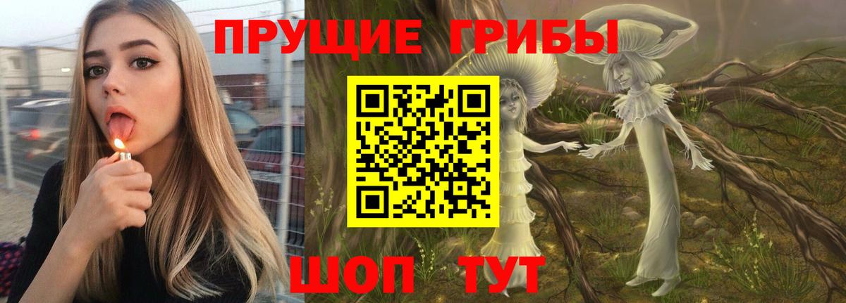 Псилоцибиновые грибы мицелий  Вход с VPN  Тулун  купить наркотики цена  Галлюциногенные грибы Psilocybine cubensis 